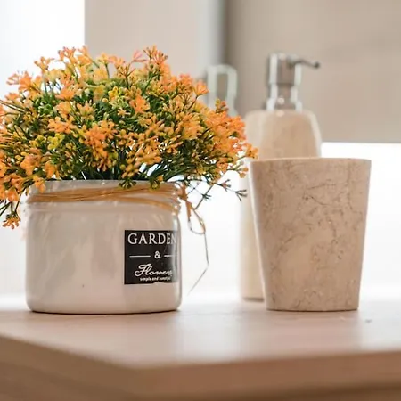 Διαμέρισμα Golden Elviria *